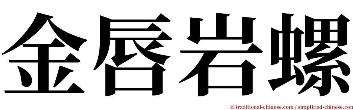 金唇岩螺 serif font