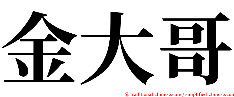 金大哥 serif font