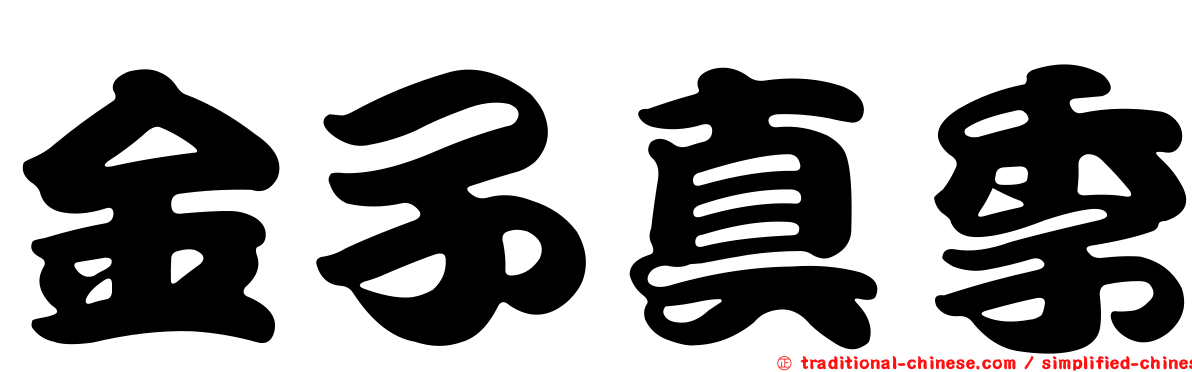 金子真季