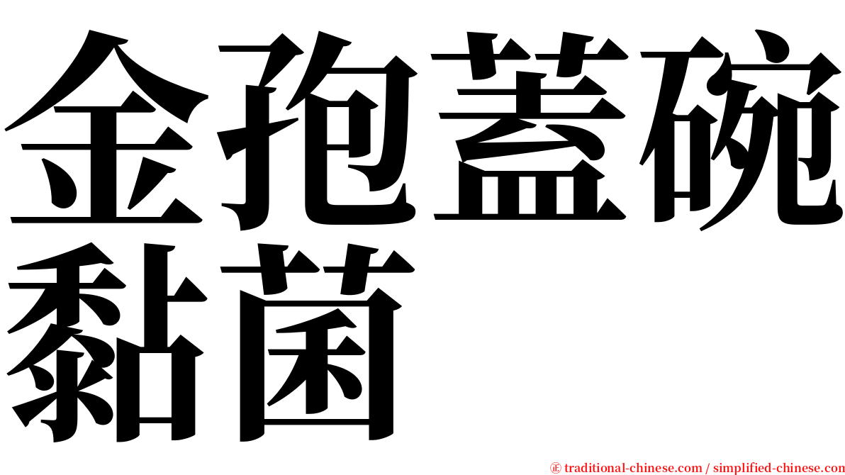 金孢蓋碗黏菌 serif font