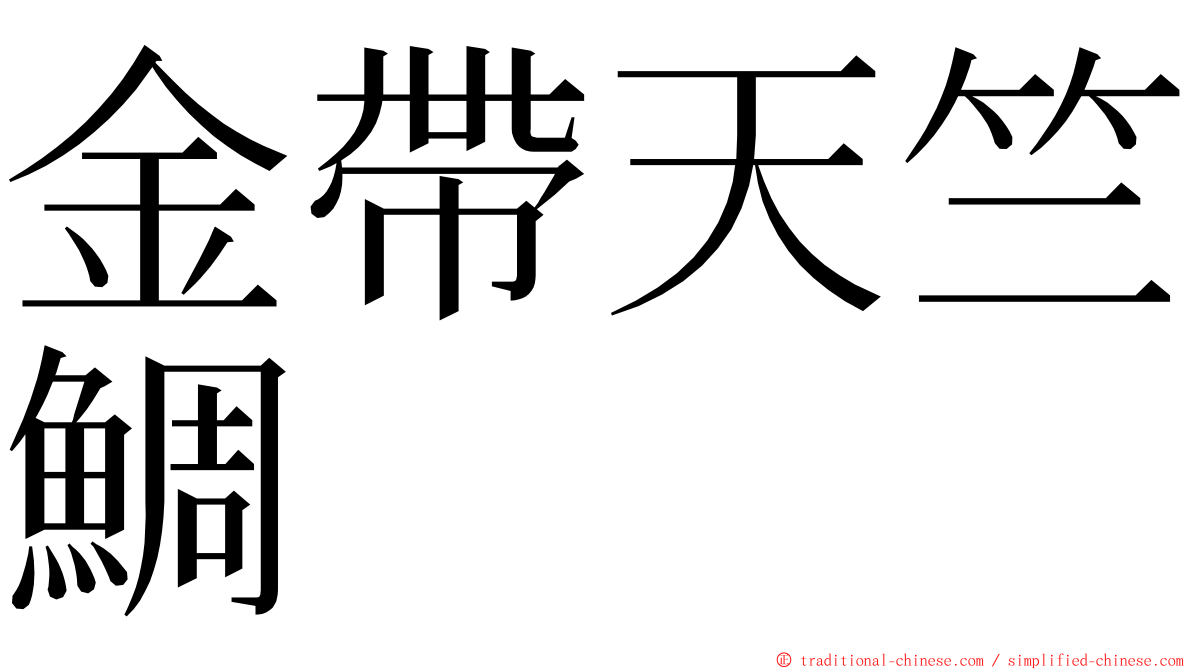 金帶天竺鯛 ming font