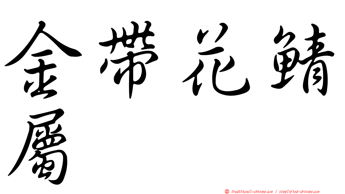 金帶花鯖屬