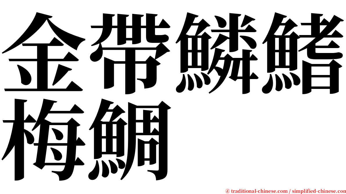 金帶鱗鰭梅鯛 serif font