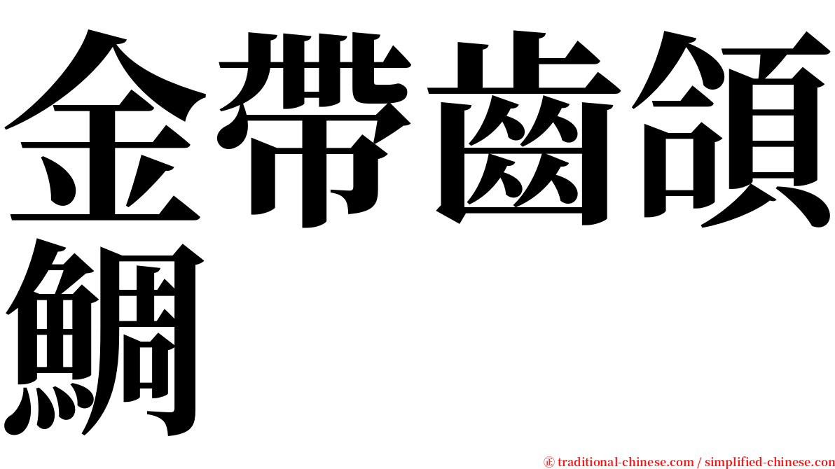 金帶齒頜鯛 serif font