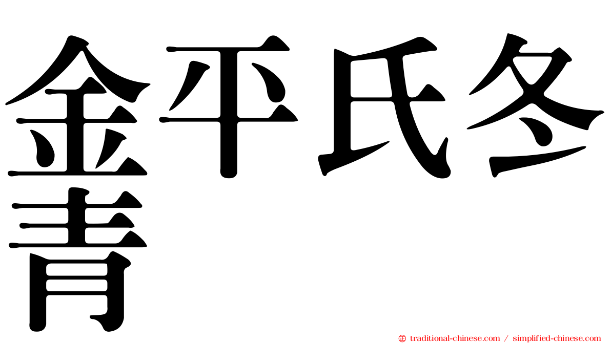 金平氏冬青