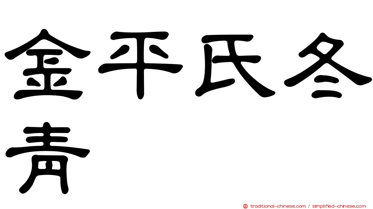 金平氏冬青