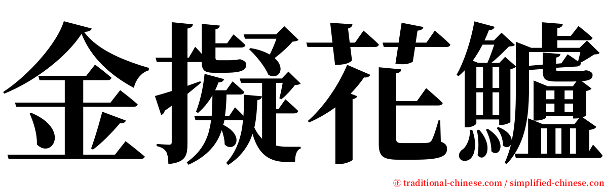 金擬花鱸 serif font