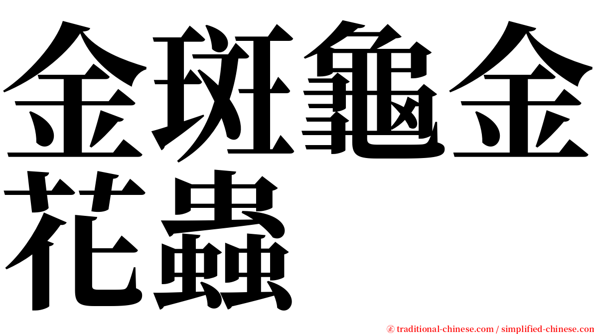 金斑龜金花蟲 serif font