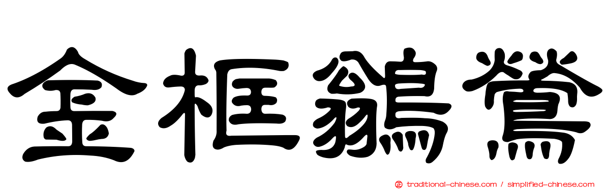 金框鶲鶯