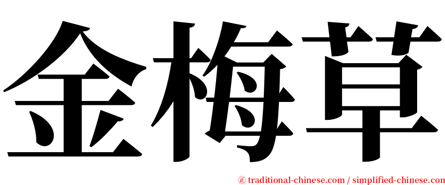 金梅草 serif font