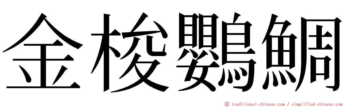 金梭鸚鯛 ming font