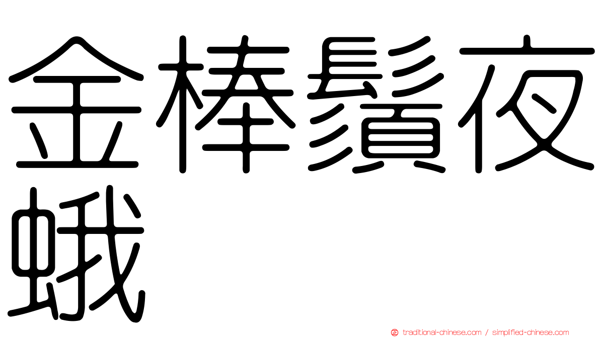 金棒鬚夜蛾