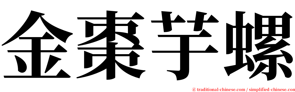 金棗芋螺 serif font