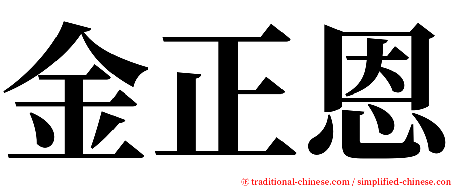 金正恩 serif font