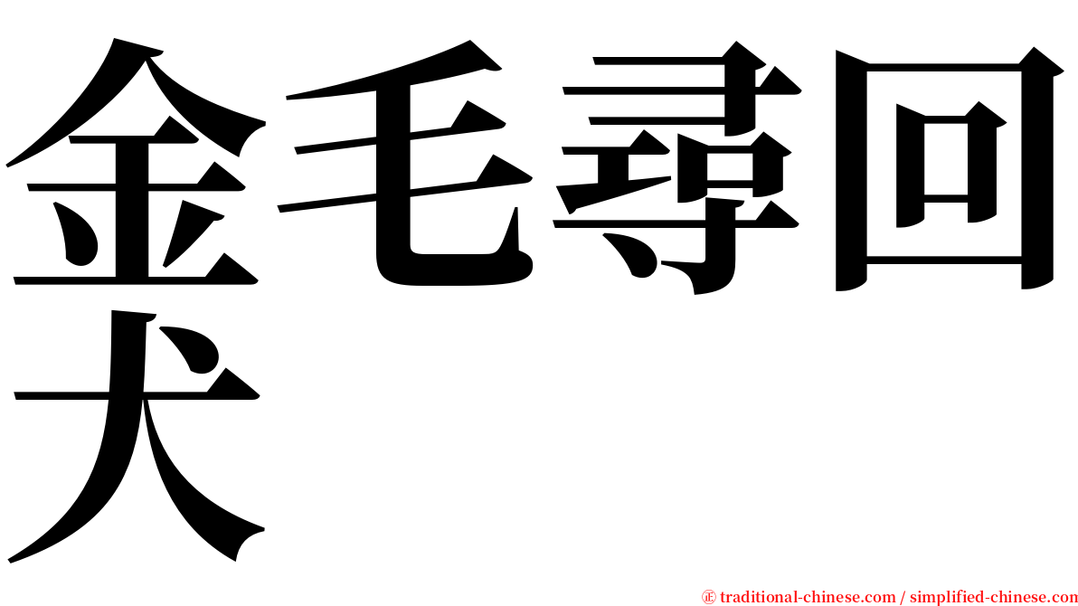 金毛尋回犬 serif font