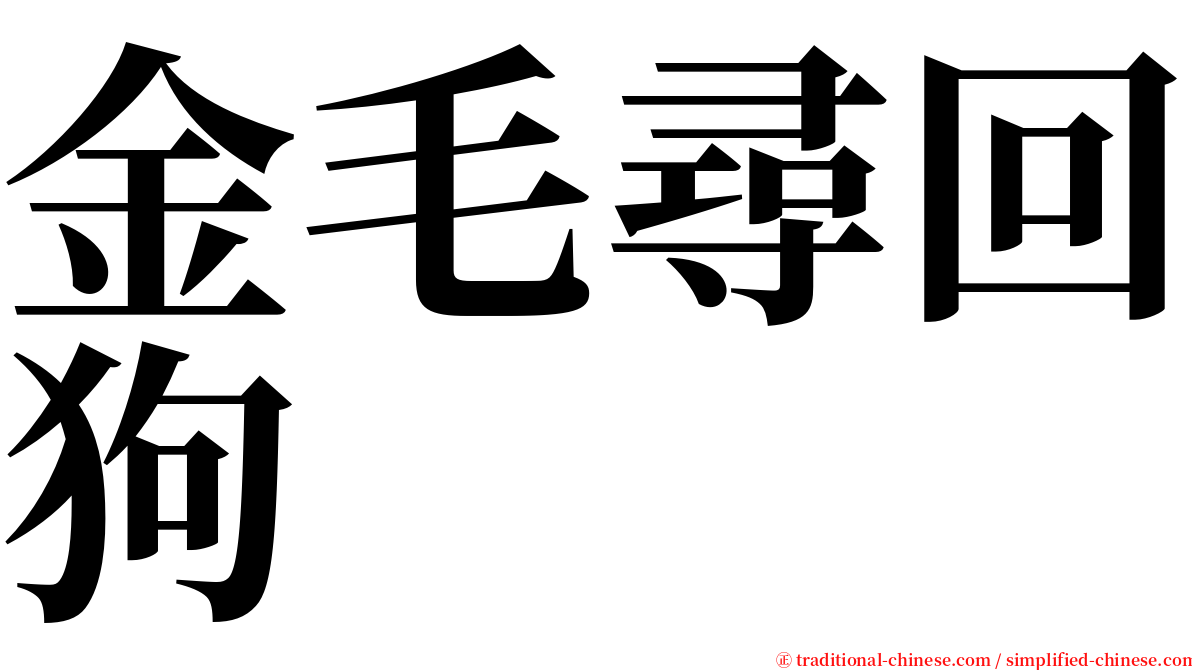 金毛尋回狗 serif font