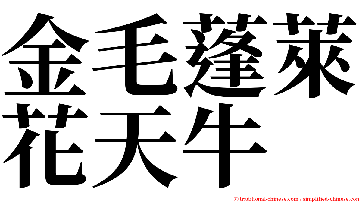 金毛蓬萊花天牛 serif font