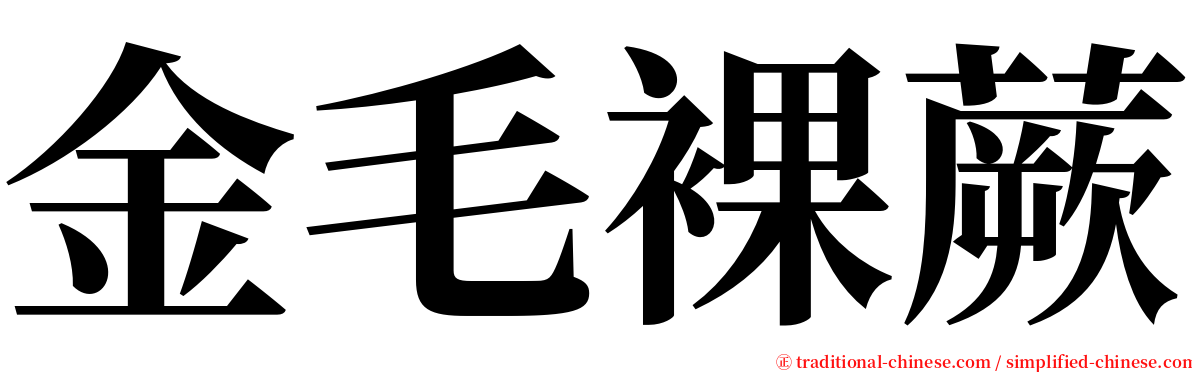 金毛裸蕨 serif font