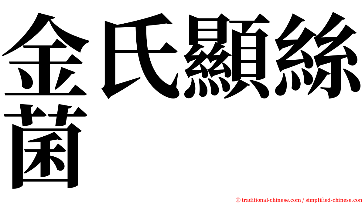 金氏顯絲菌 serif font