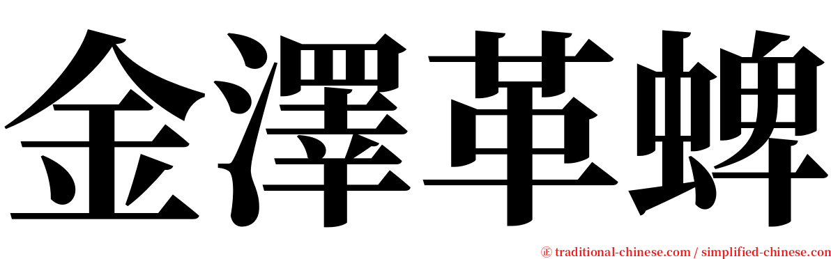 金澤革蜱 serif font