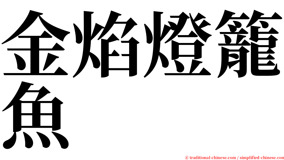 金焰燈籠魚 serif font