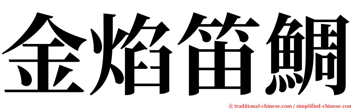 金焰笛鯛 serif font