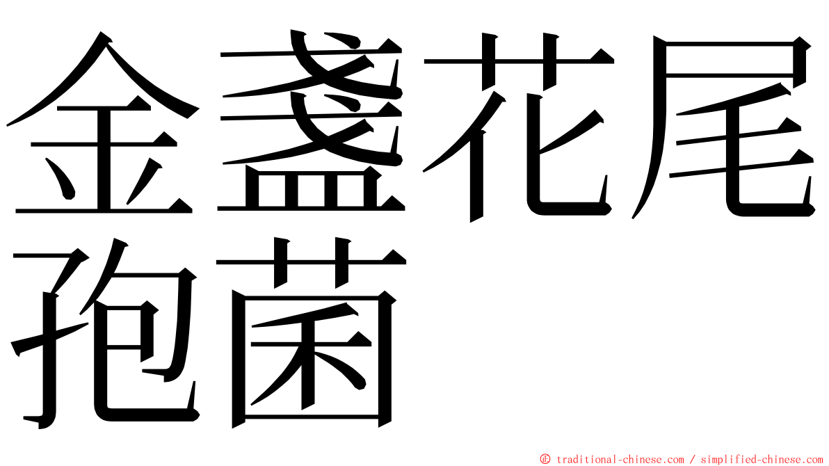 金盞花尾孢菌 ming font