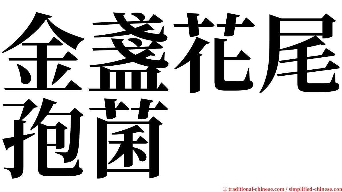 金盞花尾孢菌 serif font