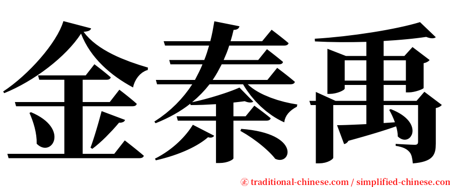 金秦禹 serif font