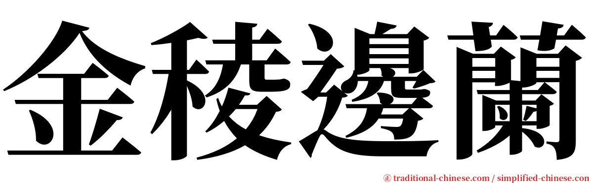 金稜邊蘭 serif font