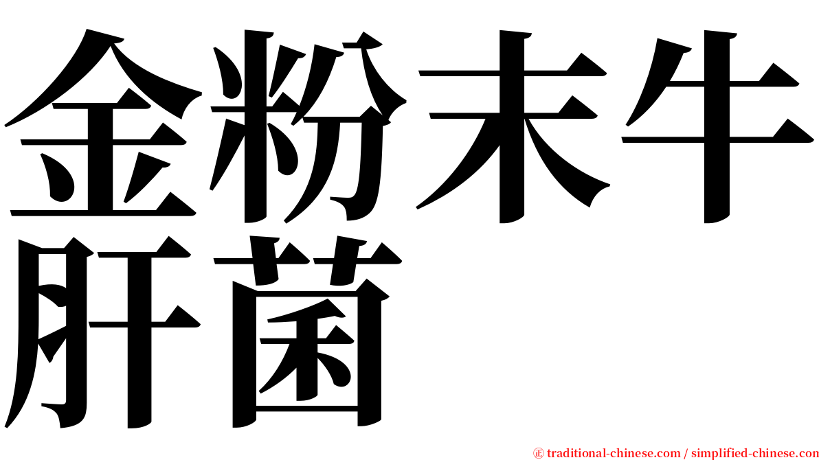 金粉末牛肝菌 serif font