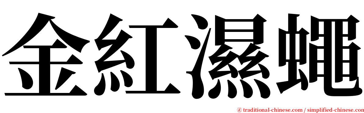 金紅濕蠅 serif font