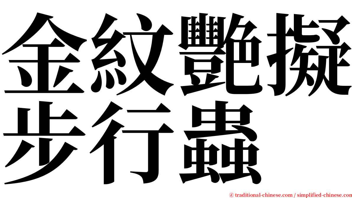 金紋艷擬步行蟲 serif font