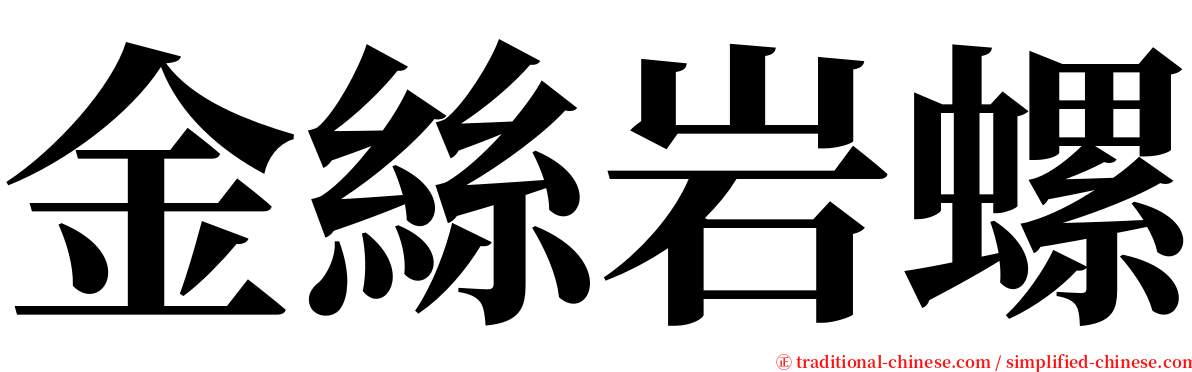 金絲岩螺 serif font