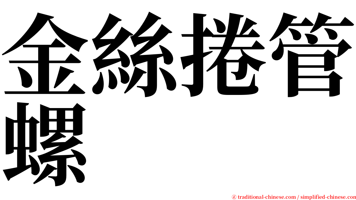 金絲捲管螺 serif font