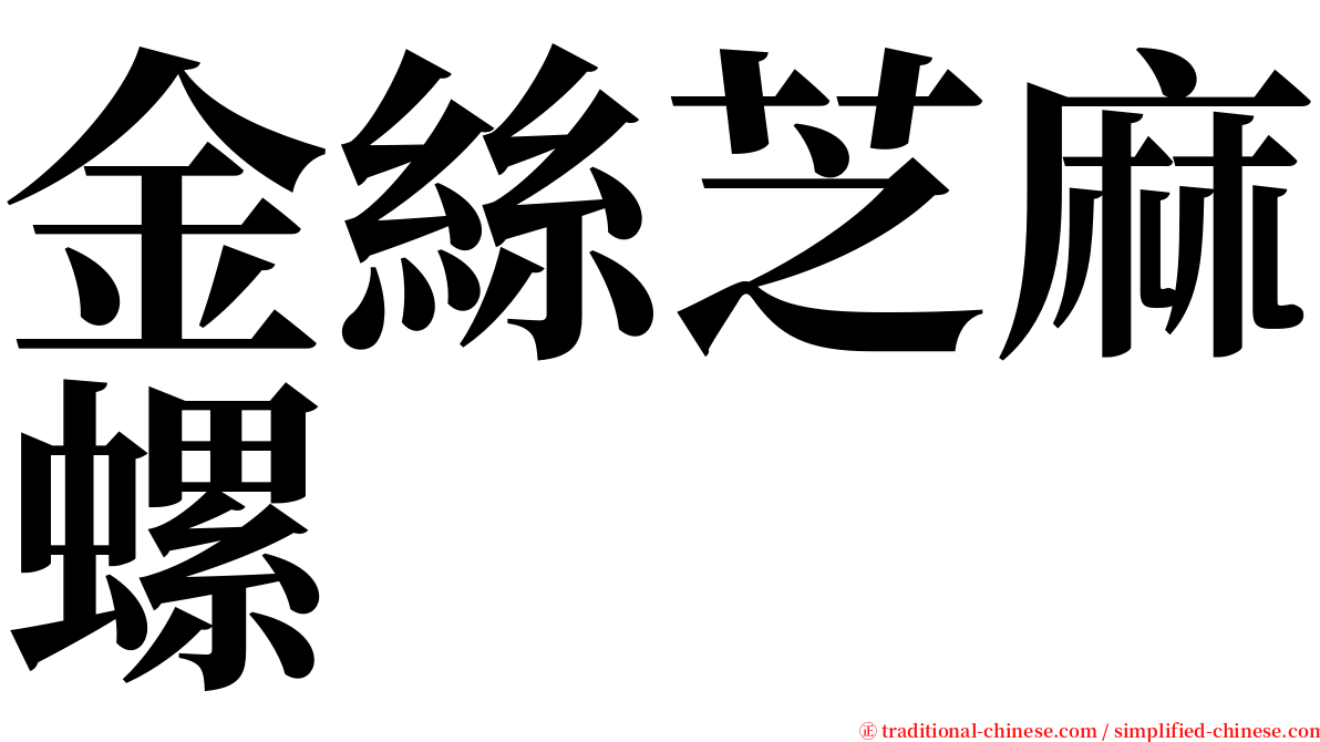 金絲芝麻螺 serif font