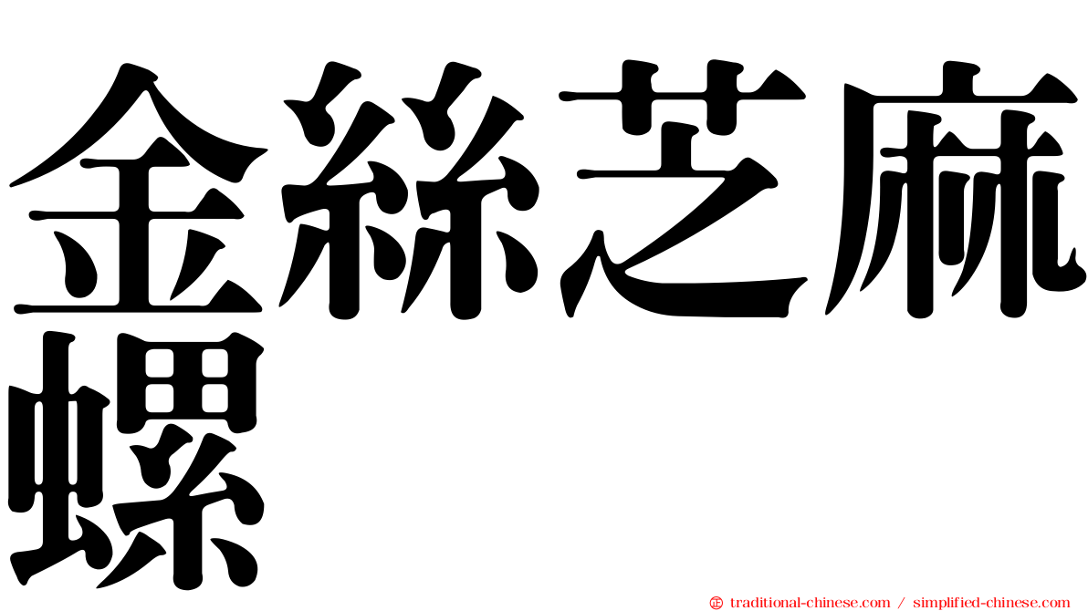 金絲芝麻螺