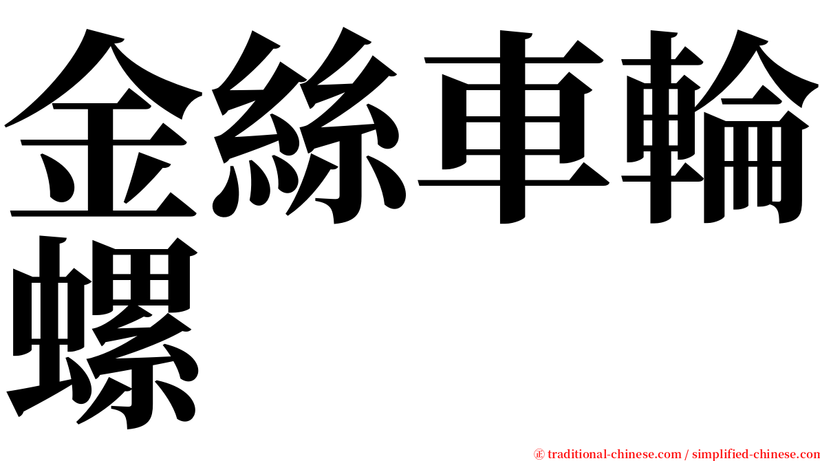 金絲車輪螺 serif font