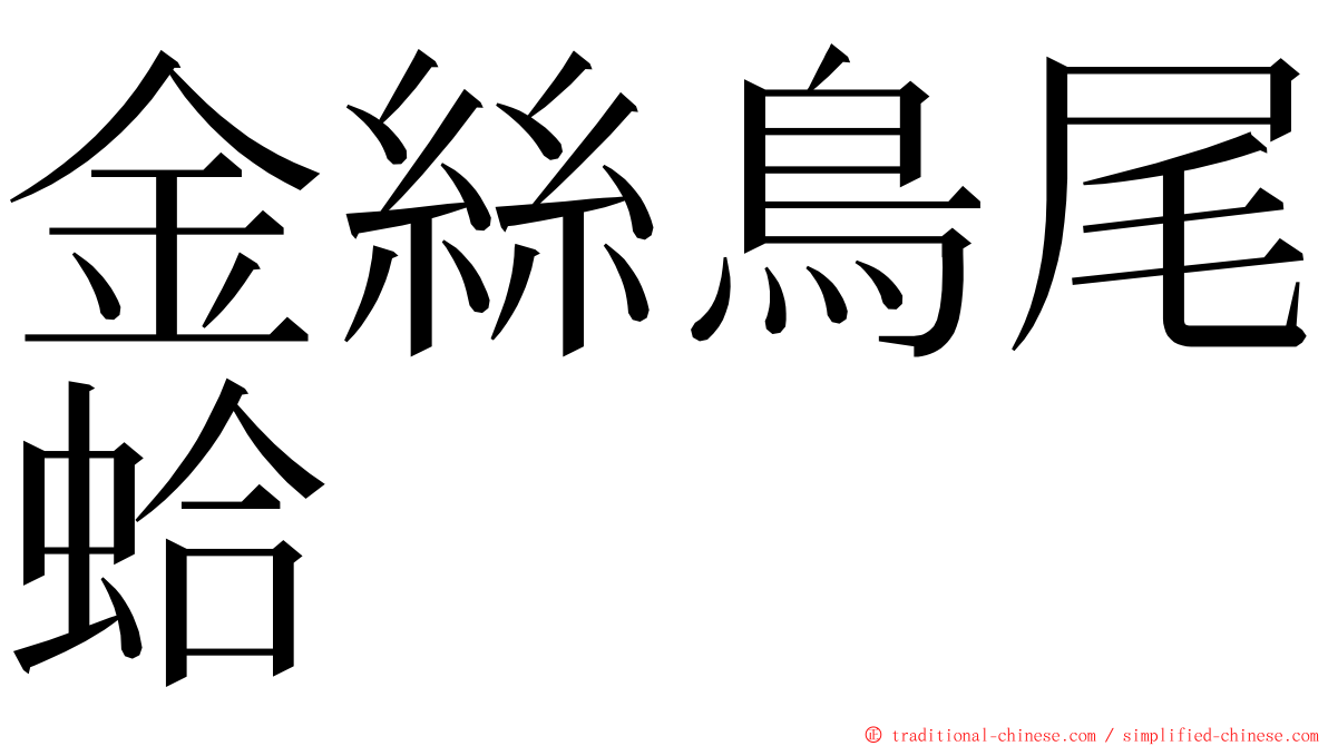 金絲鳥尾蛤 ming font