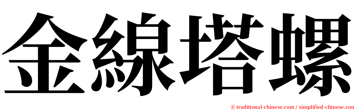 金線塔螺 serif font