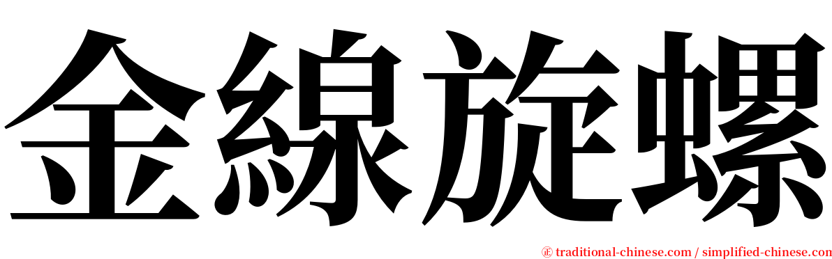 金線旋螺 serif font