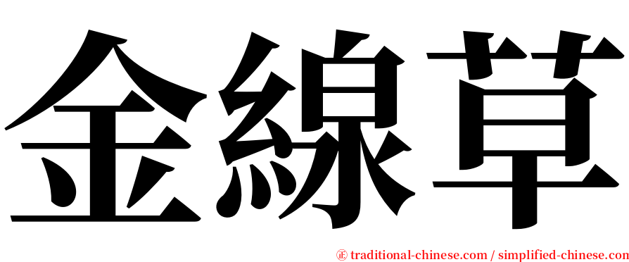 金線草 serif font