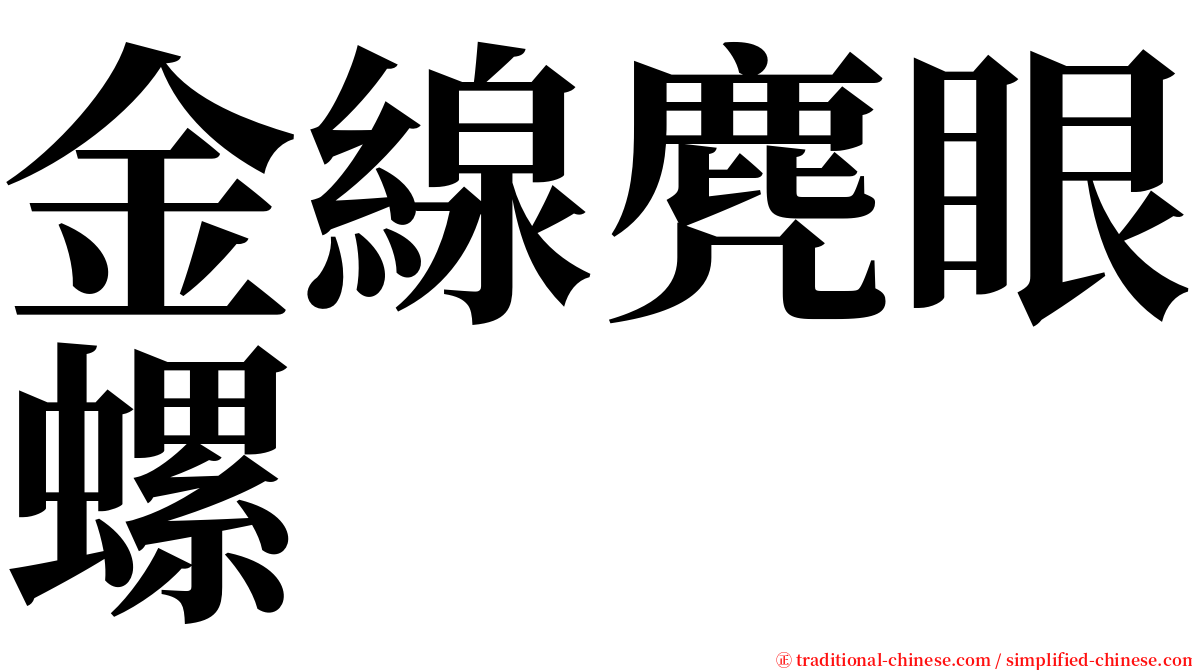 金線麂眼螺 serif font