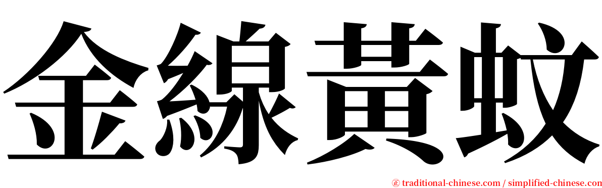 金線黃蚊 serif font