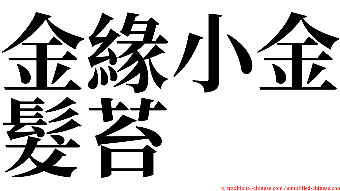 金緣小金髮苔 serif font