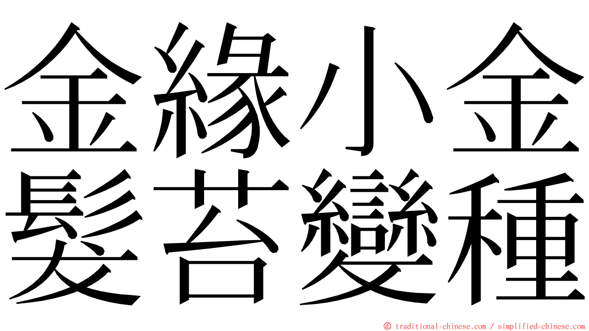 金緣小金髮苔變種 ming font