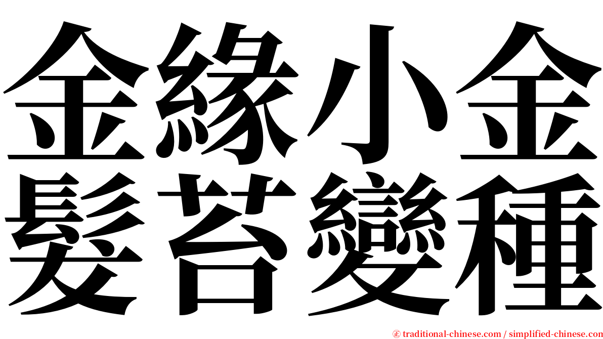 金緣小金髮苔變種 serif font