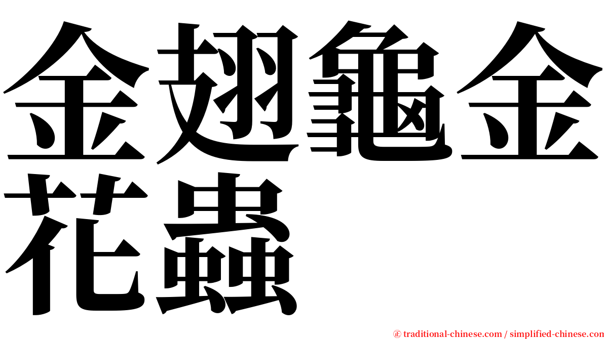 金翅龜金花蟲 serif font