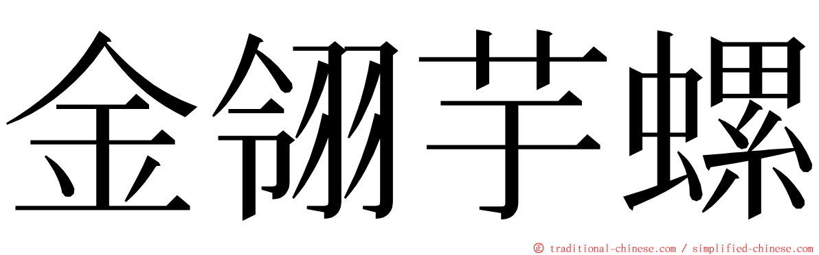 金翎芋螺 ming font