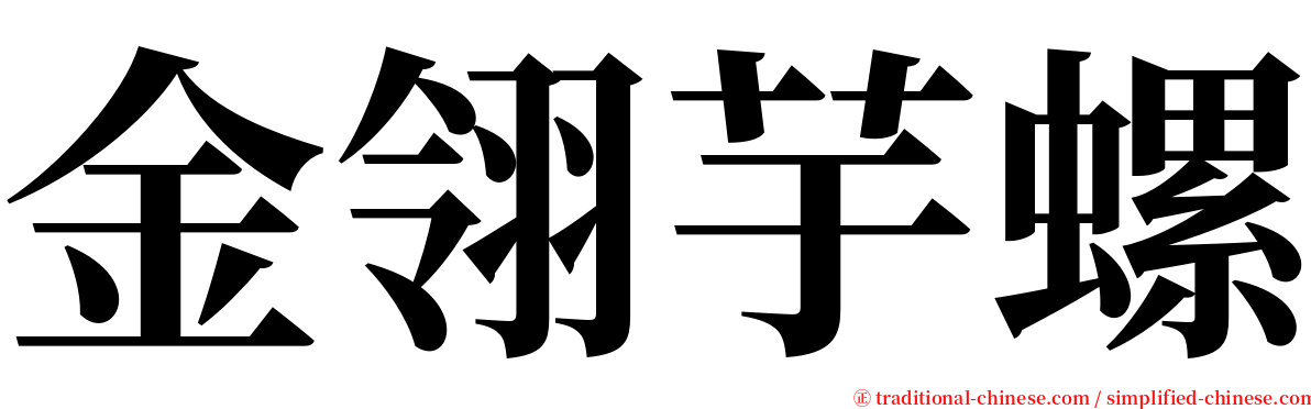 金翎芋螺 serif font